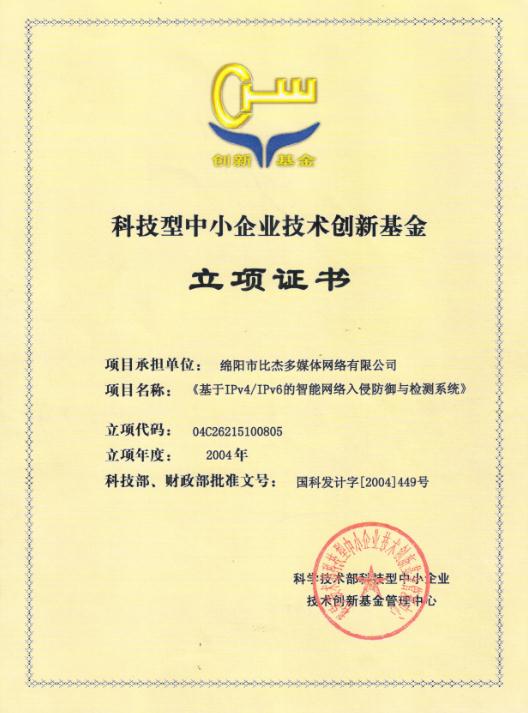 2004年度创新基金立项证书